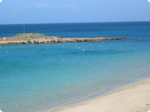 fig tree bay cipro