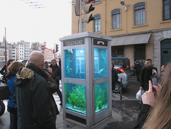 Acquario cabina telefonica