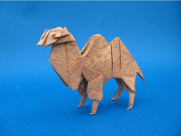 origami cammello