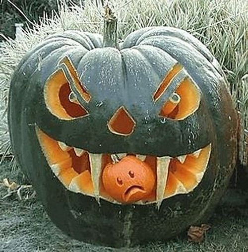 zucca-halloween