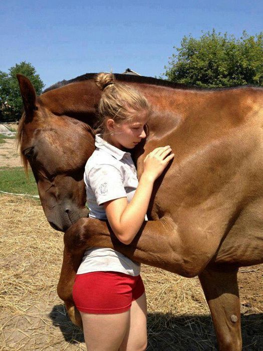 abbraccio-cavallo