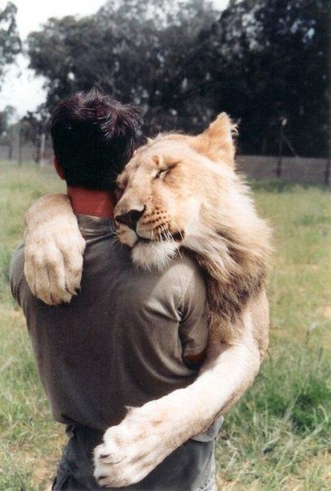 abbraccio-leone-uomo